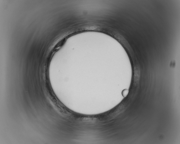 X0000113010626200910081223