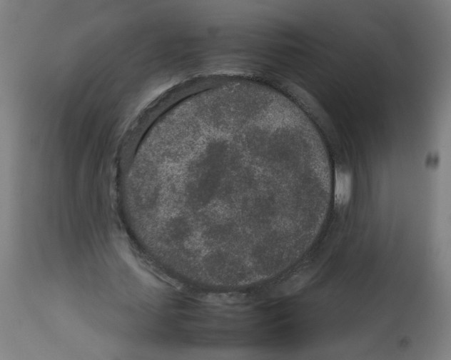 X0000113010627200910081223