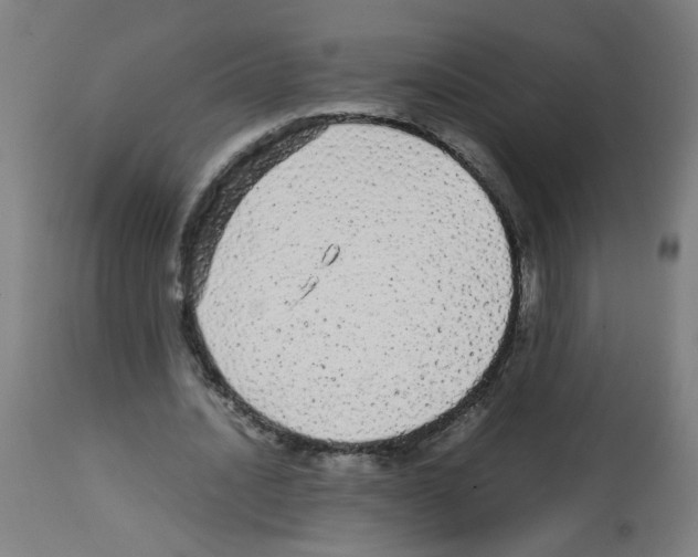 X0000113010628200910081223