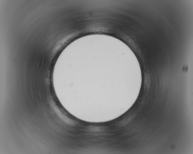 X0000113010629200910081223