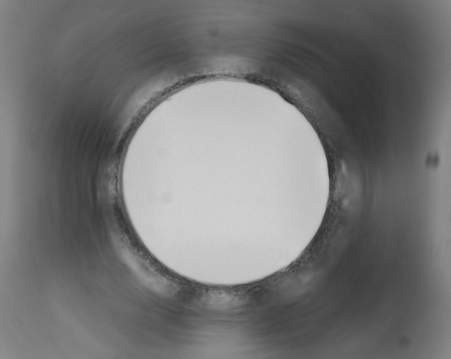 X0000113010632200910081223