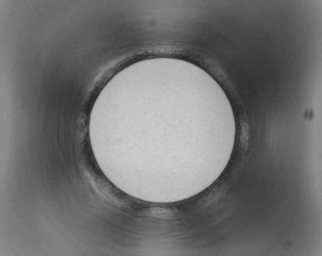 X0000113010636200910081223