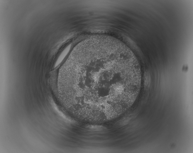 X0000113010637200910081223