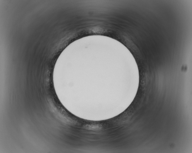 X0000113010639200910081223