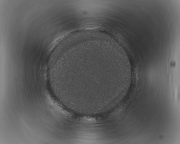 X0000113010640200910081223