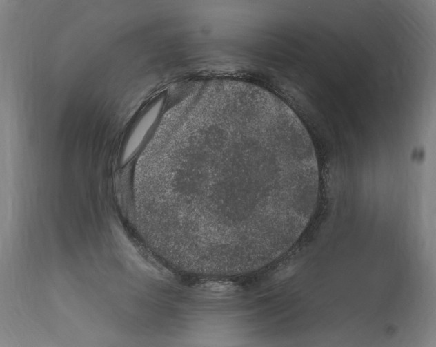 X0000113010642200910081223
