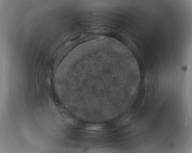 X0000113010643200910081223