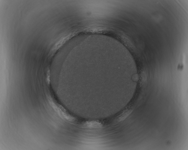 X0000113010644200910081223