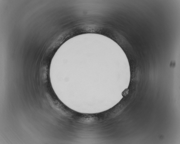 X0000113010646200910081223