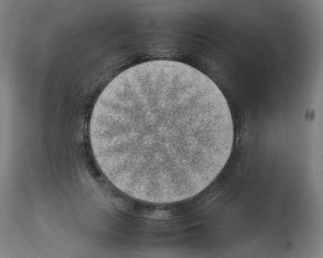 X0000113010647200910081223