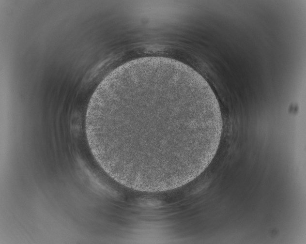 X0000113010648200910081223