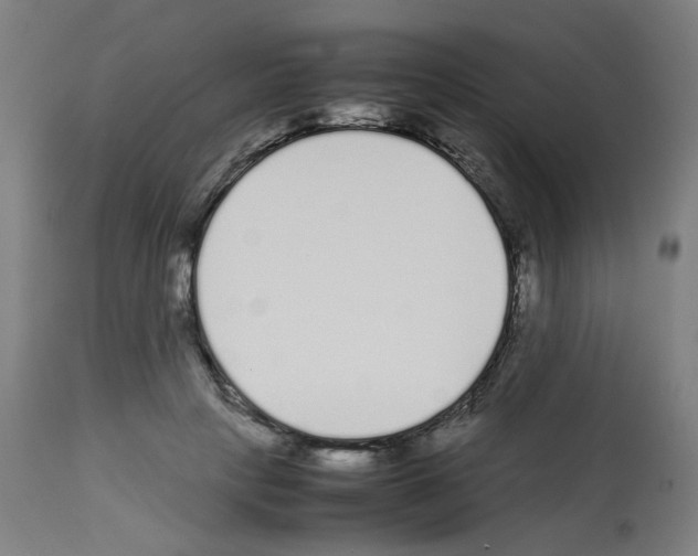 X0000113010649200910081223