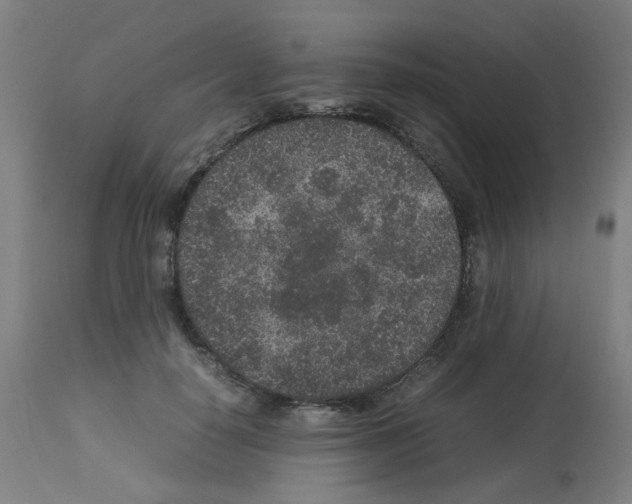 X0000113010650200910081223
