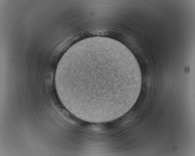 X0000113010652200910081223