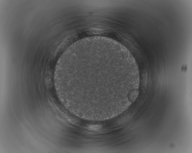 X0000113010653200910081223