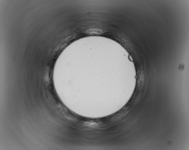 X0000113010655200910081223
