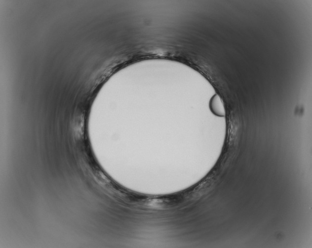 X0000113010656200910081223