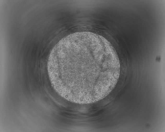 X0000113010659200910081223