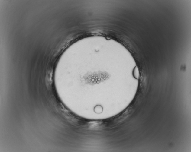 X0000113010660200910081224