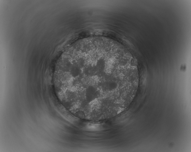 X0000113010661200910081224