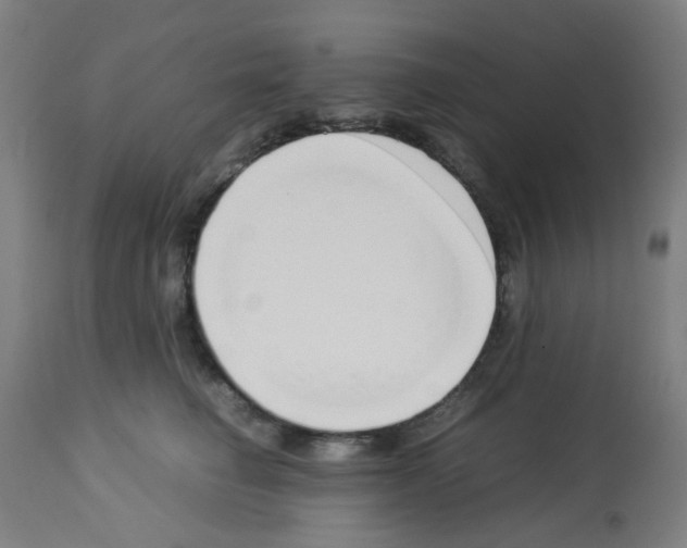 X0000113010662200910081224