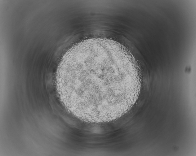 X0000113010663200910081224