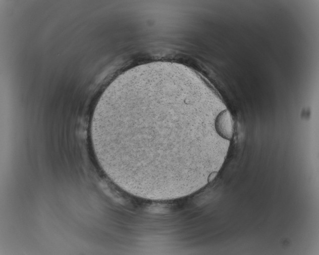 X0000113010664200910081224