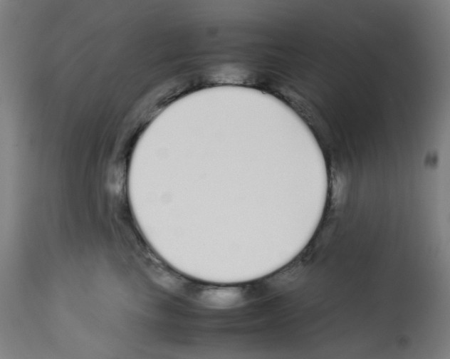 X0000113010665200910081224
