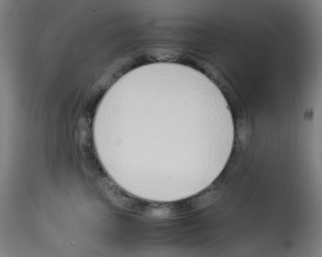 X0000113010667200910081224