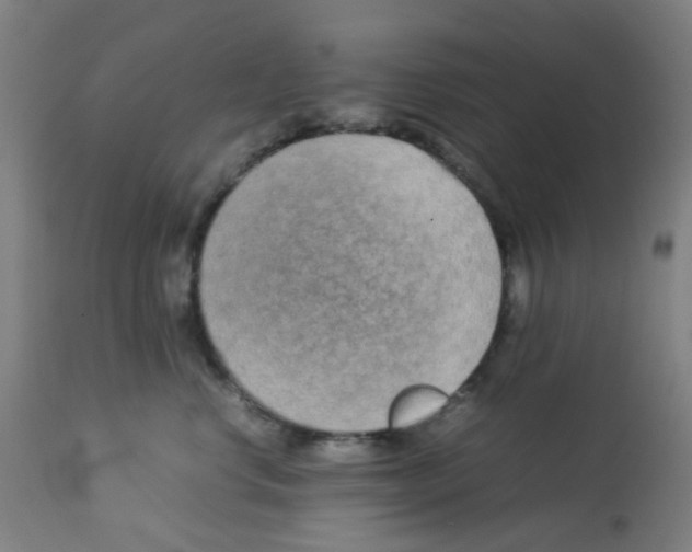 X0000113010668200910081224