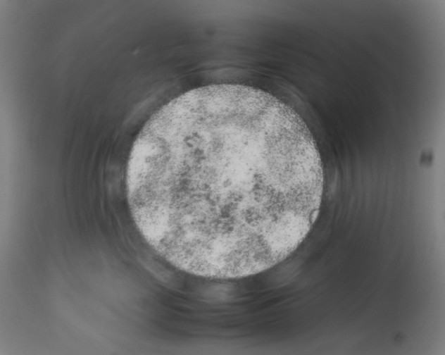 X0000113010669200910081224