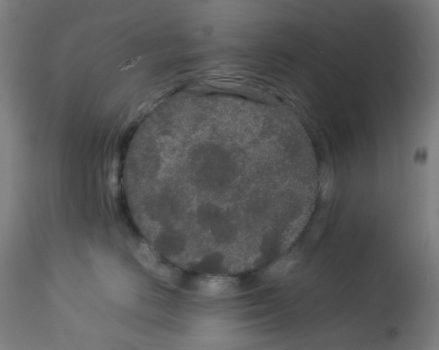 X0000113010670200910081224
