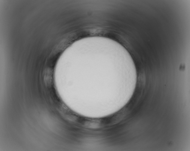 X0000113010671200910081224