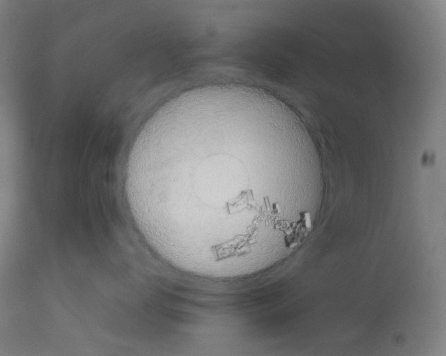 X0000113010672200910081224