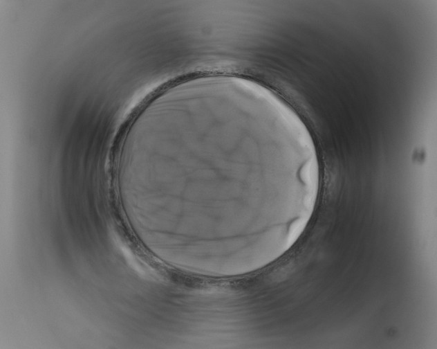 X0000113010674200910081223