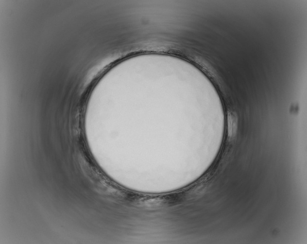 X0000113010675200910081223