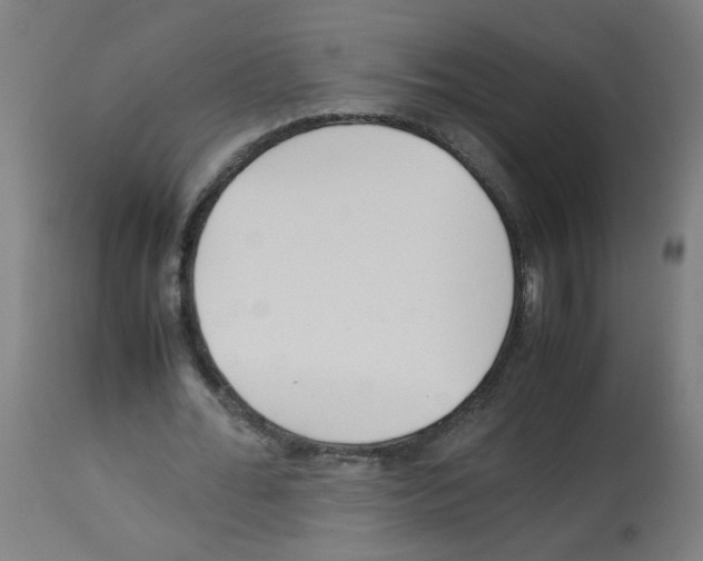 X0000113010676200910081223