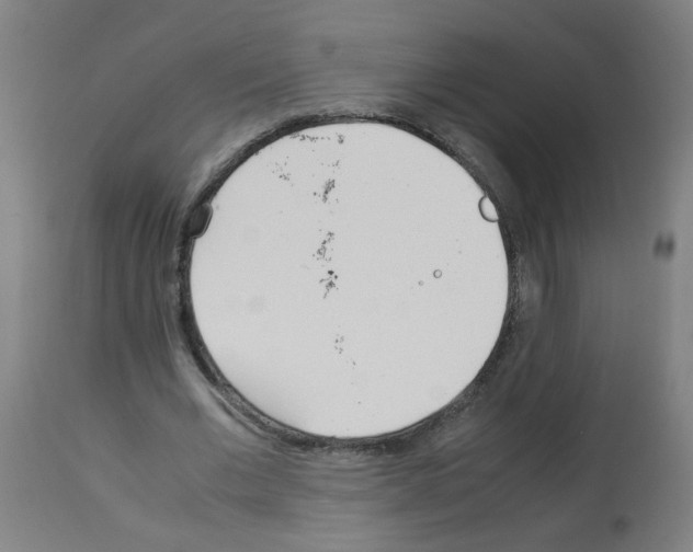 X0000113010677200910081223