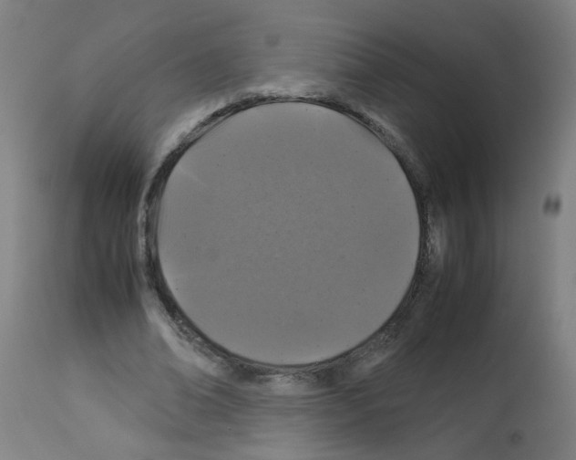 X0000113010678200910081223