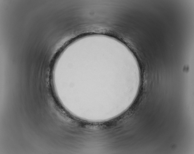 X0000113010679200910081223