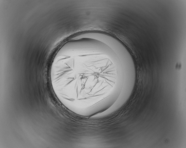 X0000113010680200910081223