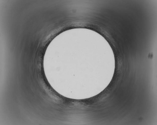 X0000113010681200910081223