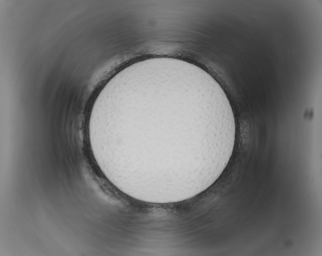 X0000113010682200910081223