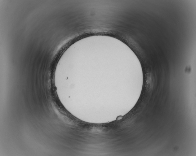 X0000113010684200910081223