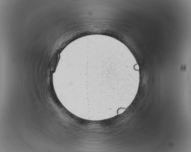 X0000113010685200910081223