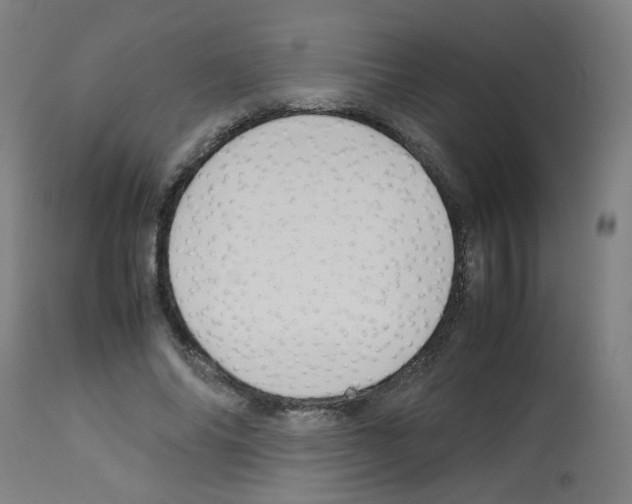 X0000113010686200910081223