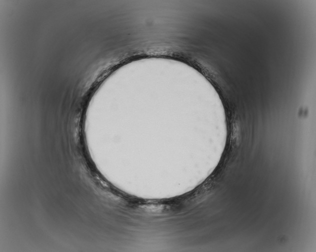 X0000113010687200910081223