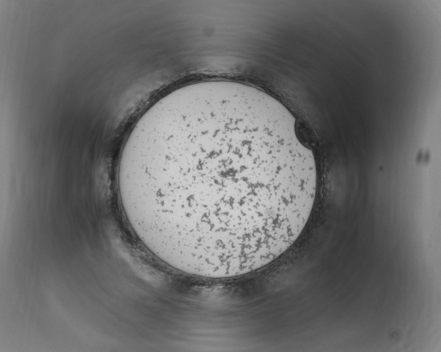 X0000113010688200910081223