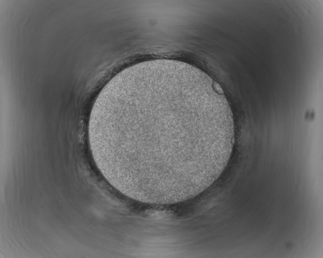 X0000113010689200910081223