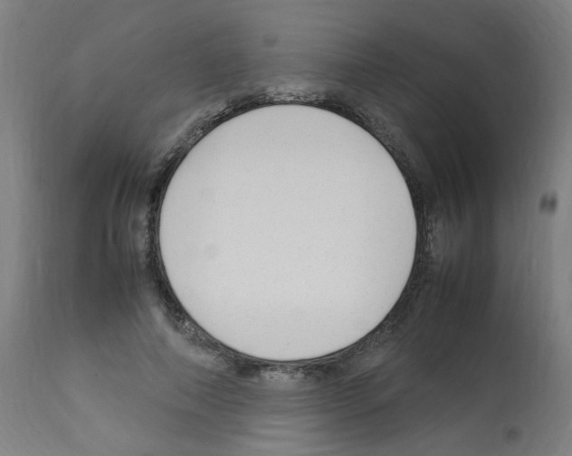 X0000113010690200910081223